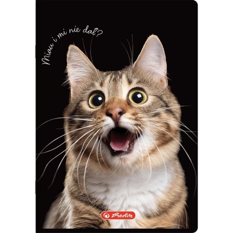 Zeszyt Do Słówek Crazy Animal A6 32k. 70g kratka Herlitz (400196843)