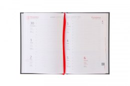 Kalendarz książkowy (terminarz) A5 Michalczyk i Prokop (T-150V-V)