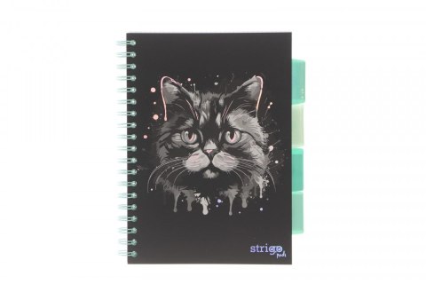 Kołozeszyt (kołonotatnik) ANIMALS KOT CZARNY B5 100k. 80g krata Strigo (PADS023)