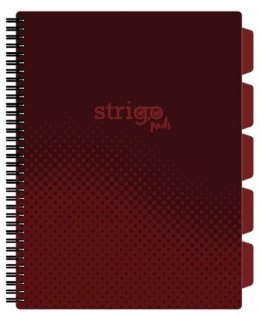 Kołozeszyt (kołonotatnik) BASIC BORDOWY A4 100k. 80g krata Strigo (PADS056)