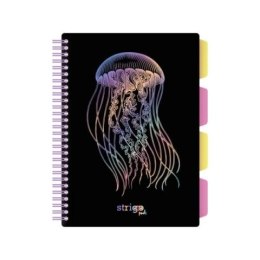 Kołozeszyt (kołobrulion) Strigo PADS GŁEBINY MEDUZA B5 100k. 80g krata (PADS062)