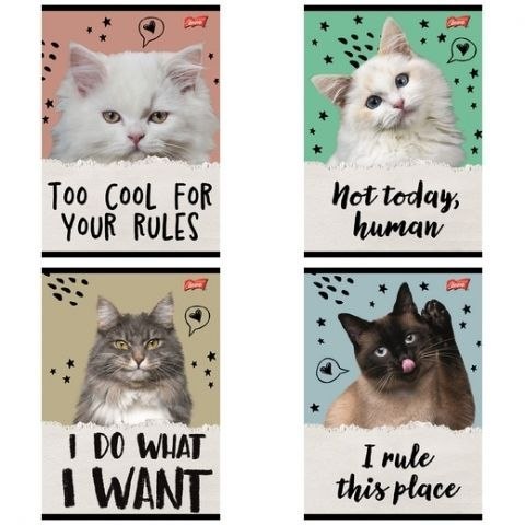 Zeszyt Caturday A5 32k. 70g krata Unipap