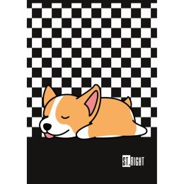 Zeszyt St.Right A4 32k. krata Unipap