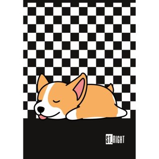 Zeszyt St.Right A4 32k. krata Unipap