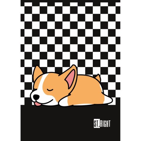 Zeszyt St.Right A4 32k. krata Unipap