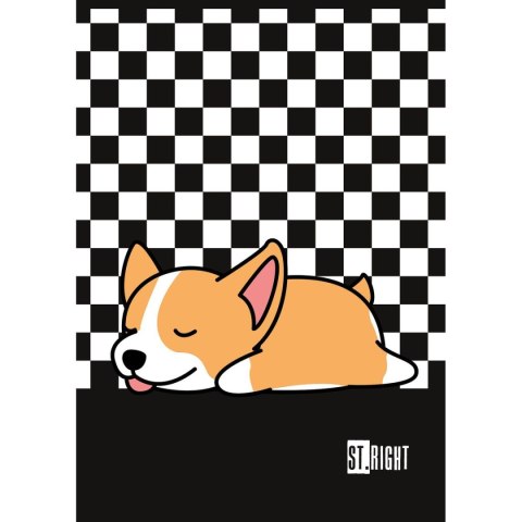 Zeszyt St.Right A4 32k. krata Unipap