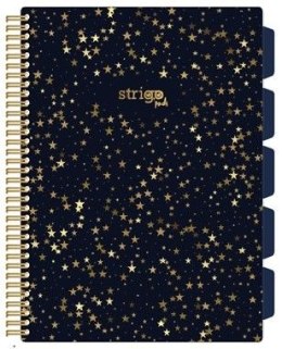 Kołozeszyt (kołonotatnik) KONSTELACJA-GWIAZDY A4 100k. 80g kratka Strigo (PADS006)