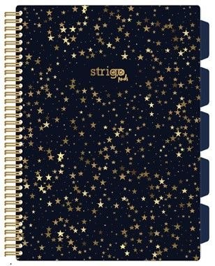 Kołozeszyt (kołonotatnik) KONSTELACJA-GWIAZDY A4 100k. 80g kratka Strigo (PADS006)