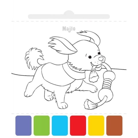 Książka dla dzieci Użyj wody, zbudź kolory! Zwierzęta Aksjomat