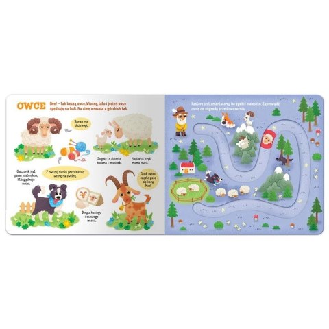 Książka dla dzieci Zwierzątka na wsi. Labirynty z ruchomymi elementami Aksjomat