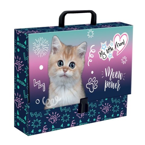 Teczka kartonowa na zatrzask My Little Friend Kitty Party A4 mix Unipap