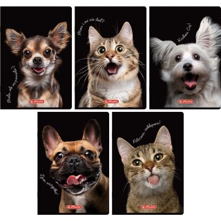 Zeszyt Do Słówek Crazy Animal A6 16k. 70g kratka Herlitz (400196842)