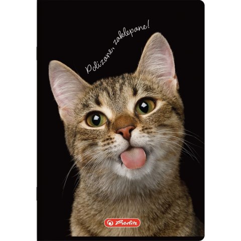 Zeszyt Do Słówek Crazy Animal A6 16k. 70g kratka Herlitz (400196842)