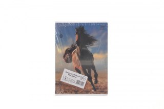 Zeszyt WILD HORSES A5 32k. 70g krata Interdruk