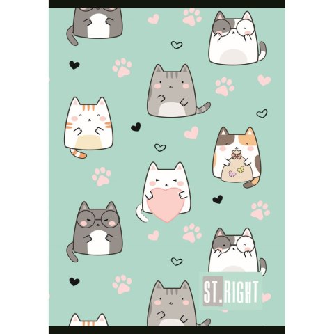 Zeszyt St.Right A5 32k. 70g krata Unipap