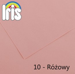 Brystol Canson Iris 10 B1 różowy 240g 25k 700mm x 1000mm (200040449)