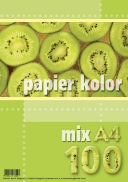 Papier kolorowy Kreska A4 - mix 80g