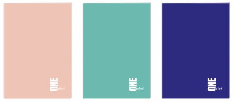 Zeszyt A4 96k. 70g krata Interdruk (ZEA496#ONE)