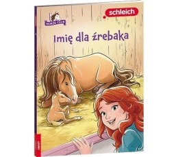 Książeczka edukacyjna HORSE CLUB. Imię dla źrebaka Ameet (LNR 8401)
