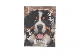 Pamiętnik [mm:] 140x180 Happy Color (YR DBL 36J24)