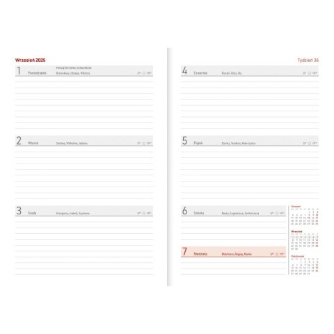 Kalendarz biurkowy GRANATOWY VIVELLA A5 A5 Wydawnictwo Wokół Nas (A5TO65B-)