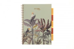 Kołozeszyt (kołonotatnik) AFRYKA pastelowy zielony A4 100k. 80g krata Strigo (PADS066)