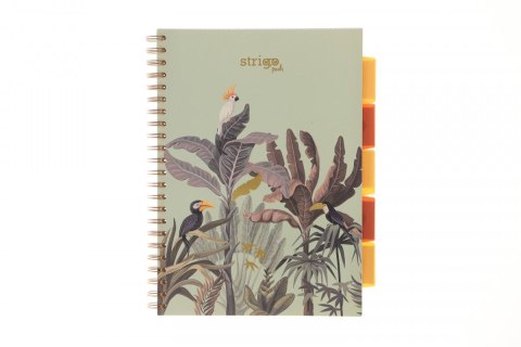 Kołozeszyt (kołonotatnik) AFRYKA pastelowy zielony A4 100k. 80g krata Strigo (PADS066)