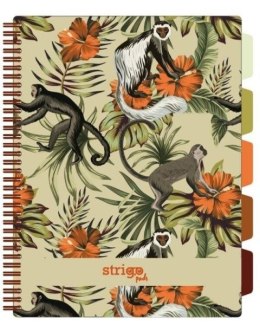 Kołozeszyt (kołonotatnik) Tropiki -małapki BEŻOWY A4 100k. 80g krata Strigo (PADS062)