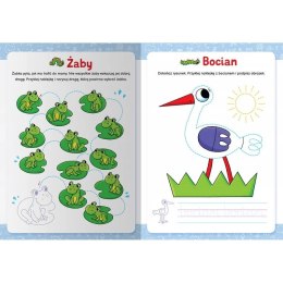 Książka dla dzieci Szlaczki zwierzaczki. Edukacyjna książeczka z naklejkami Aksjomat