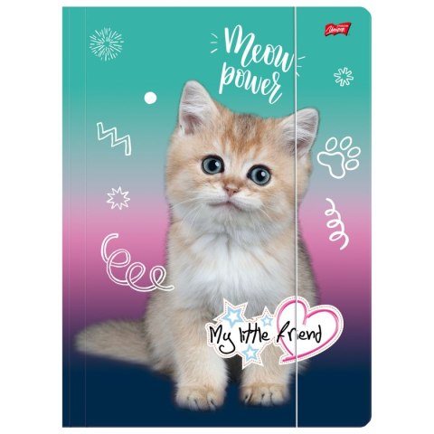 Teczka kartonowa na gumkę My Little Friend A4 mix 300g Unipap