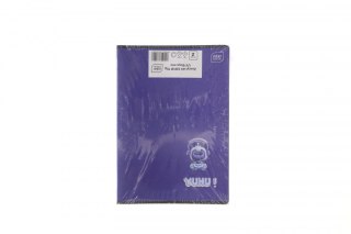 Zeszyt MIX A5 32k. 70g krata Interdruk (Boys)