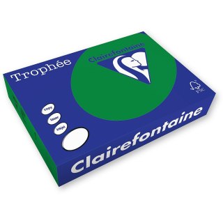Papier kolorowy kolorowy A4 zielony choinkowy 250k. 160g Trophee (xca41019)