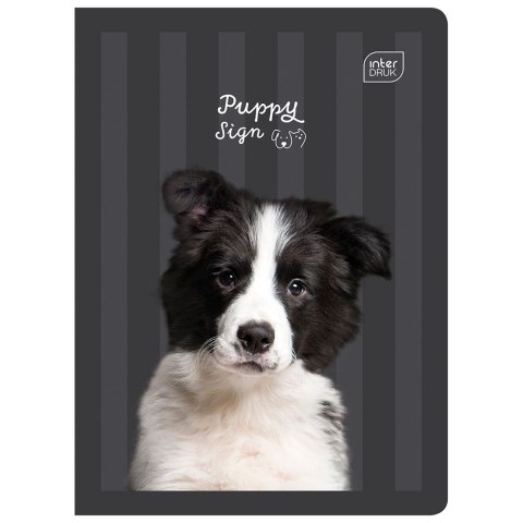 Zeszyt PUPPY SIGN A5 32k. 70g linia kolor Interdruk