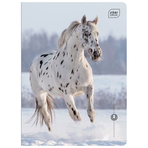 Zeszyt WILD HORSES A5 16k. 70g linia kolor Interdruk