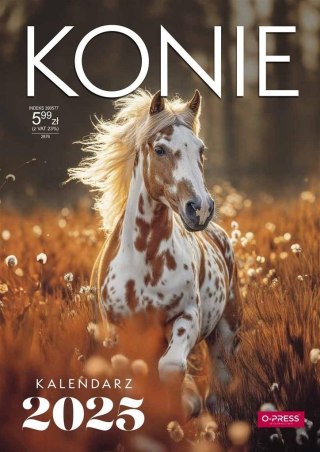 Kalendarz ścienny A4 KONIE A4 Press (5904830713398)