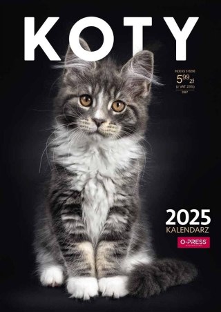Kalendarz ścienny A4 KOTY A4 Press (5904830713381)