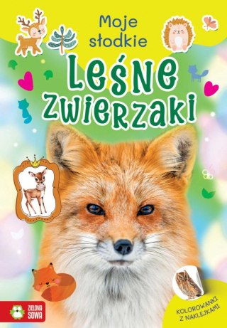 Książeczka edukacyjna Moje słodkie zwierzaki. Leśne zwierzaki Zielona Sowa