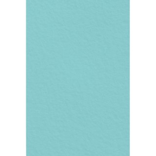 Filc kolor: mix 5 ark. [mm:] 200x297 Interdruk (IFILCPAS)