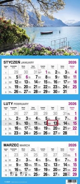 Kalendarz ścienny WIDOK 310mm x 790mm Press