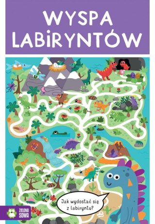 Książeczka edukacyjna Wyspa labiryntów Zielona Sowa