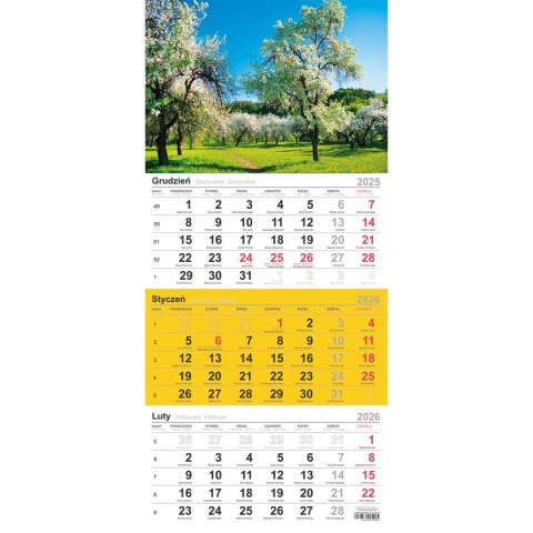 Kalendarz ścienny trójdzielny 288mm x 622mm Michalczyk i Prokop (T-106T-02)