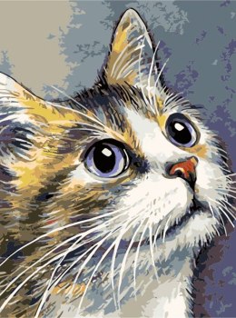 Zestaw kreatywny Malowanie po numerach 30x40cm Kot Flamingo Line (FC220)