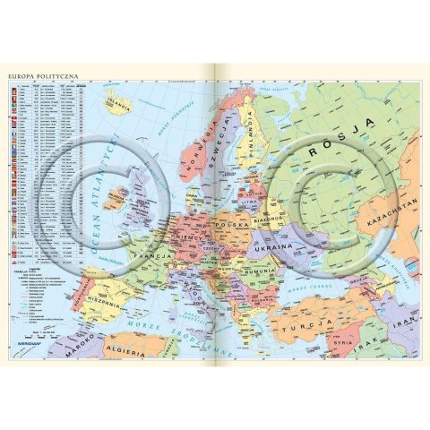 Kalendarz książkowy (terminarz) Vivella terminarz B5 172mm x 240mm Lucrum (51T-D)