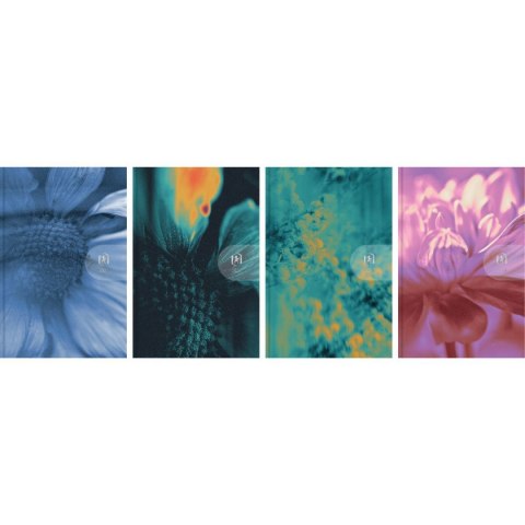 Kalendarz książkowy (terminarz) WTV HARMONY 100mm x 150mm Oxford (400204135)