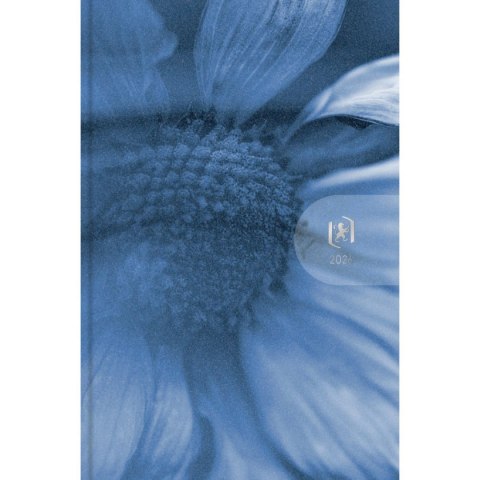 Kalendarz książkowy (terminarz) WTV HARMONY 100mm x 150mm Oxford (400204135)