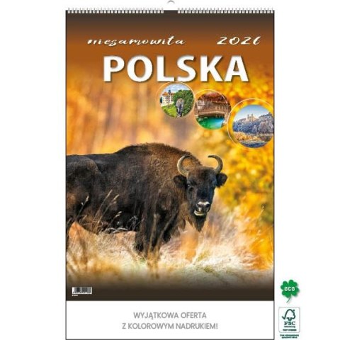 Kalendarz ścienny NIESAMOWITA POLSKA wieloplanszowy 330mm x 500mm Jotan (WP116)