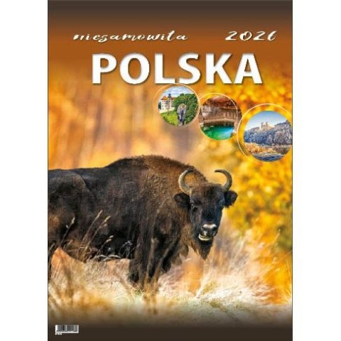 Kalendarz ścienny NIESAMOWITA POLSKA wieloplanszowy 330mm x 500mm Jotan (WP116)