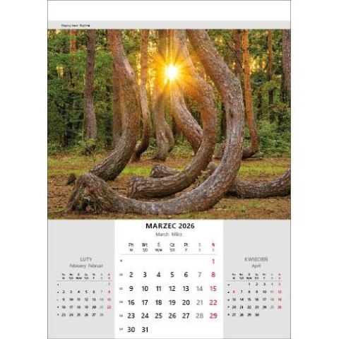 Kalendarz ścienny NIESAMOWITA POLSKA wieloplanszowy 330mm x 500mm Jotan (WP116)