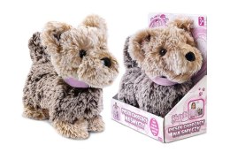 Pluszak interaktywny piesek chodzący na smyczy Artyk (175992)