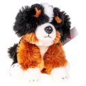 Pluszak pies fluffy 30 cm [mm:] 300 Anek (84404MT AN01)